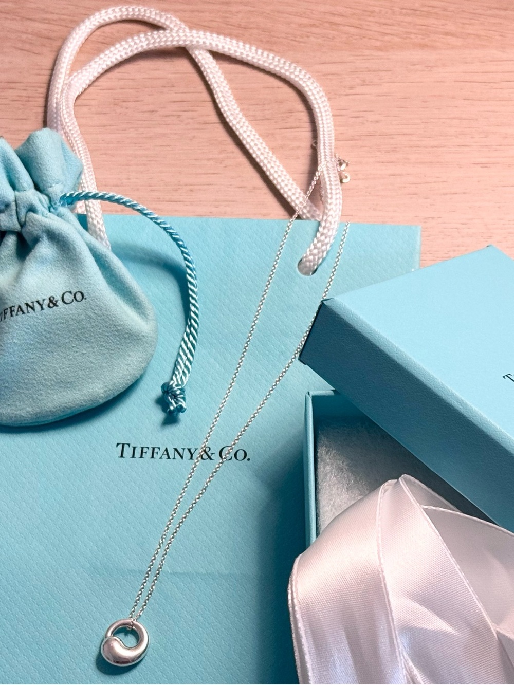Authentic Tiffany & Co. Elsa Peretti Eternal Circle Necklace w/ Box & Pouch